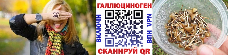 что такое   Алзамай  МЕГА ТОР  Галлюциногенные грибы Psilocybe 